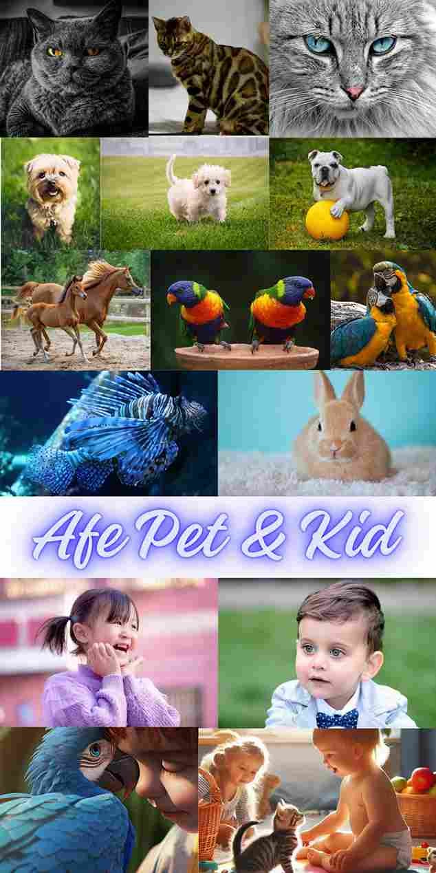 Afe Pet & Kid