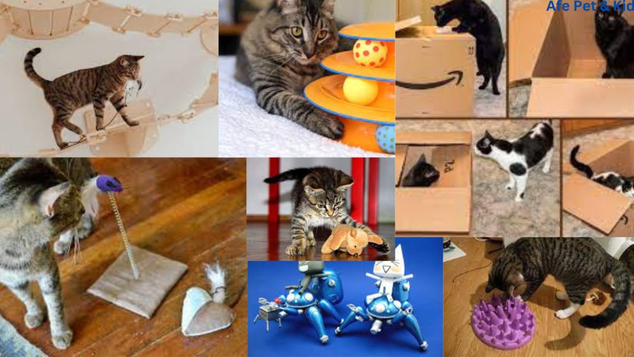 cat toys amazon